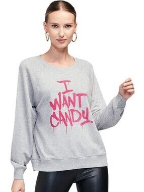 Wildfox Gray Crewneck Sweatshirt with Pink "I WANT CANDY" Graphic - Size S